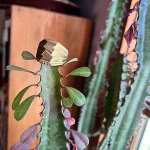 🥀 14 grams of 18 K gold 🥀